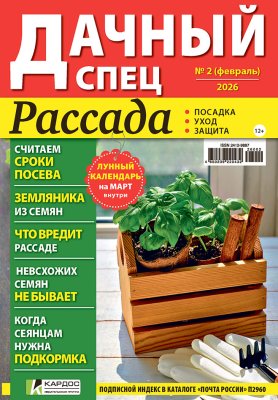 Дачный спец