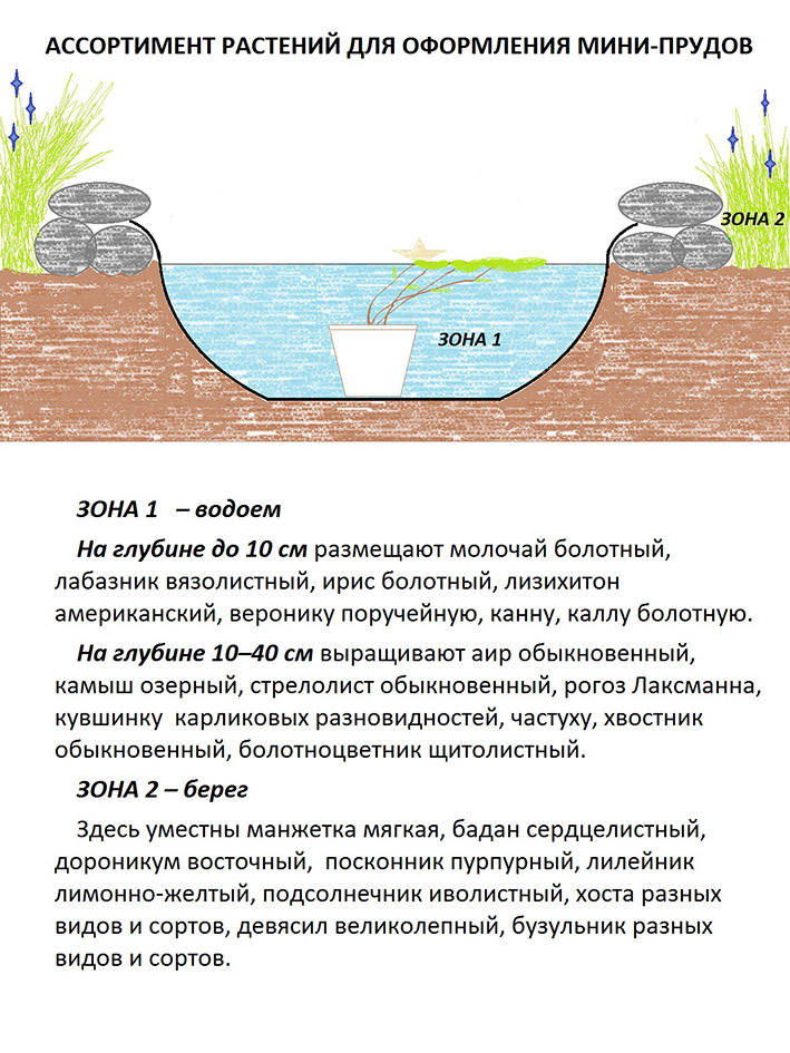 Risunok_1_Mini_prud_za_odin_den.jpg Risunok_1_Mini_prud_za_odin_den.jpg